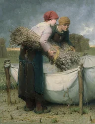 Women in the Field, 1882